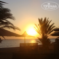 фото из отзыва ID 162501