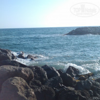 фото из отзыва ID 162629