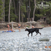 фото из отзыва ID 1620005