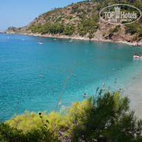 фото из отзыва ID 1620034