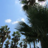 фото из отзыва ID 1620129