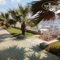 фото из отзыва ID 1620129