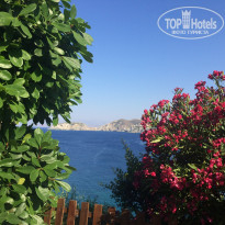 фото из отзыва ID 1620198