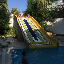 фото из отзыва ID 1620282