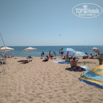 фото из отзыва ID 1620389