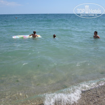 фото из отзыва ID 1620389