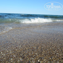 фото из отзыва ID 1620389