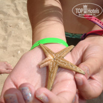 фото из отзыва ID 1620496