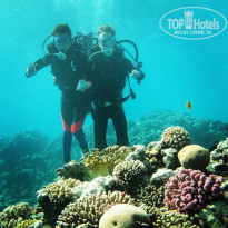 фото из отзыва ID 1620357