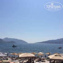 фото из отзыва ID 1620679