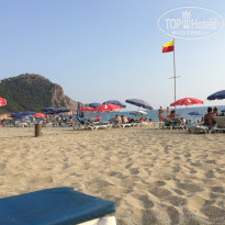 фото из отзыва ID 1620328