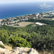 фото из отзыва ID 1620778