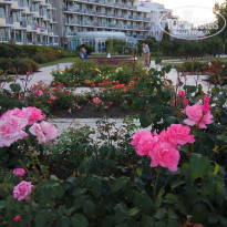 фото из отзыва ID 1620847