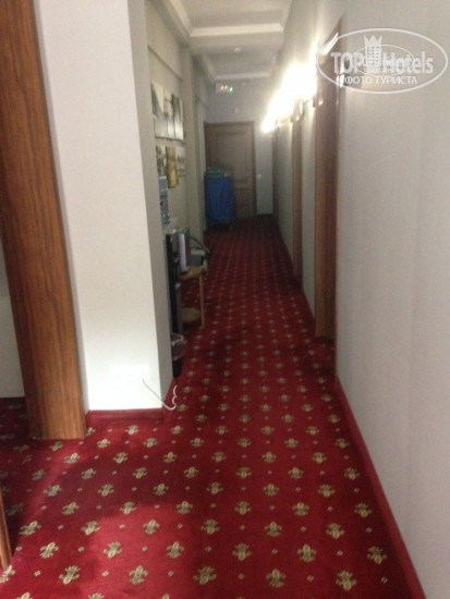 Hotel photo Чкалов 3*