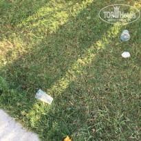 фото из отзыва ID 1620995