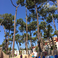 фото из отзыва ID 1621260