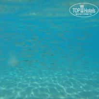 фото из отзыва ID 1621301