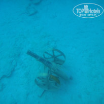 фото из отзыва ID 1621301