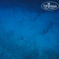 фото из отзыва ID 1621301