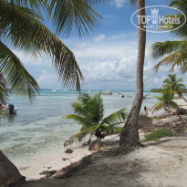 фото из отзыва ID 1621283