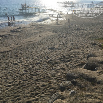 фото из отзыва ID 1621433