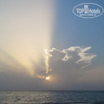 фото из отзыва ID 1621283