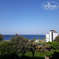 фото из отзыва ID 1621495