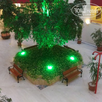 фото из отзыва ID 1621538