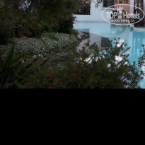 фото из отзыва ID 1621655