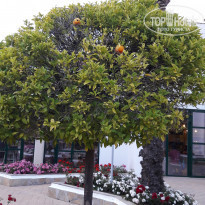 фото из отзыва ID 1621655