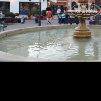 фото из отзыва ID 1621655