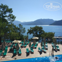 фото из отзыва ID 1621904