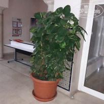 фото из отзыва ID 1622005