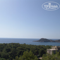 фото из отзыва ID 1622012