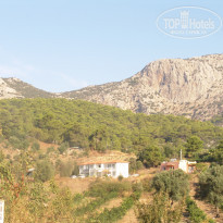 фото из отзыва ID 1622012