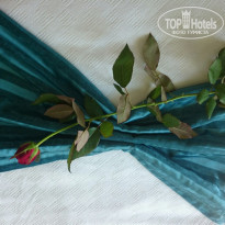 фото из отзыва ID 1622010