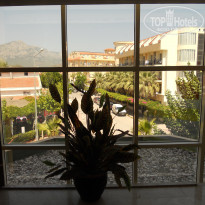 фото из отзыва ID 1622023