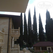 фото из отзыва ID 1622096