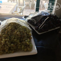 фото из отзыва ID 1622125