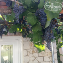 фото из отзыва ID 1622703