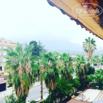 фото из отзыва ID 1622716