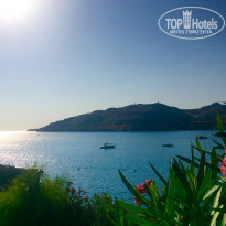 фото из отзыва ID 1622675