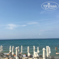 фото из отзыва ID 1622794