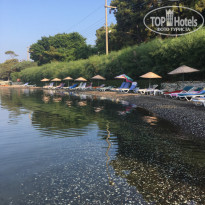 фото из отзыва ID 1622825