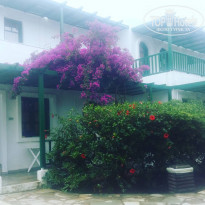 фото из отзыва ID 1623302