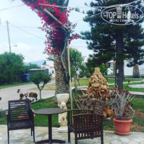 фото из отзыва ID 1623302