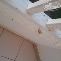 фото из отзыва ID 1623790