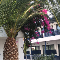 фото из отзыва ID 1623793