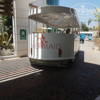 фото из отзыва ID 1623820