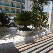 фото из отзыва ID 1623820